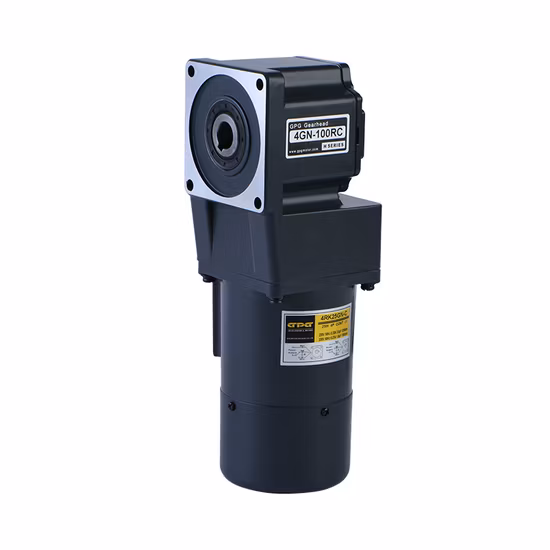 Gpg Vtv Pellet Stove Burner Boiler Dosing Metering Pump Micro AC Reversible Induction Gear Reduction Motor 4ik25gnc 8rpm Yn80-25 3ik15gn 5ik60gn120gn