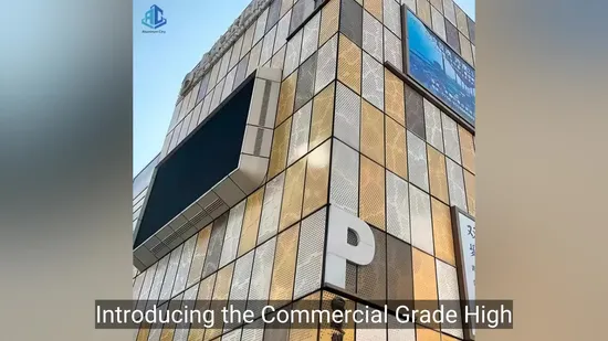 Wall-Hung Gas Boiler/Water Heater No Noise High Voltage Water Three-Way Valve Controller Motor AC Motor