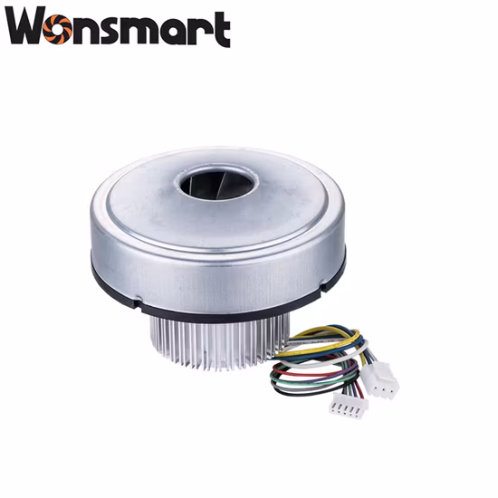 Motore brushless DC con pompa ad aria per ventola