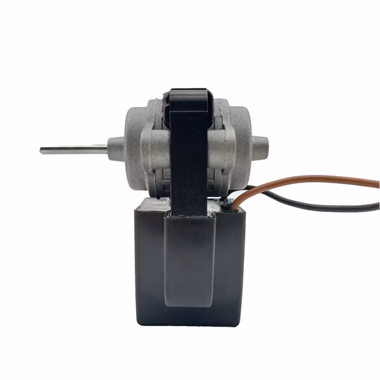 Motore elettrico per frigorifero AC evaporatore personalizzato Ruijp di alta qualità con guarnizione epossidica