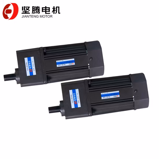 Motoriduttore CA monofase 220 V 60 W per caldaia con bruciatore